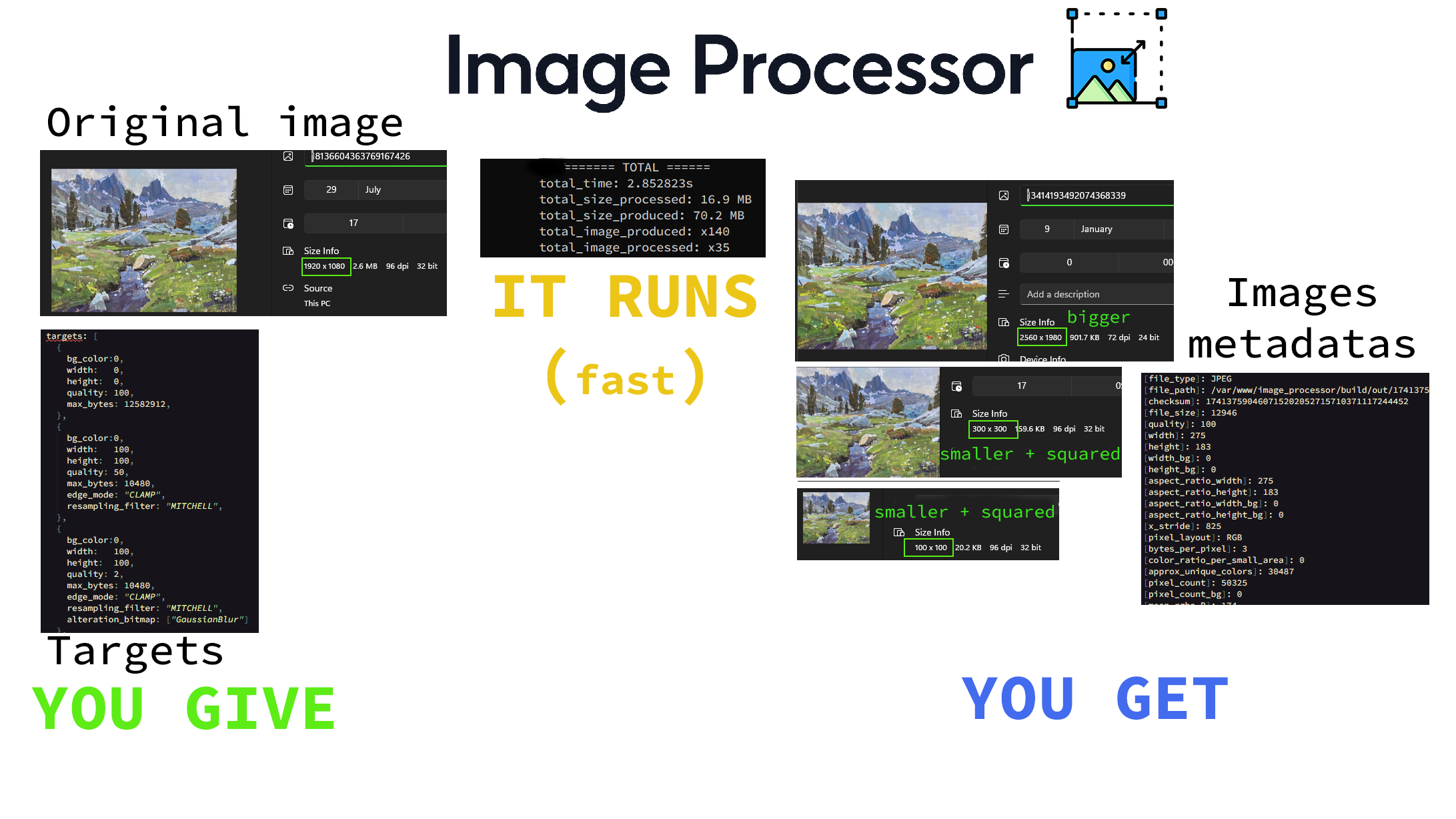 temporary image processor logo